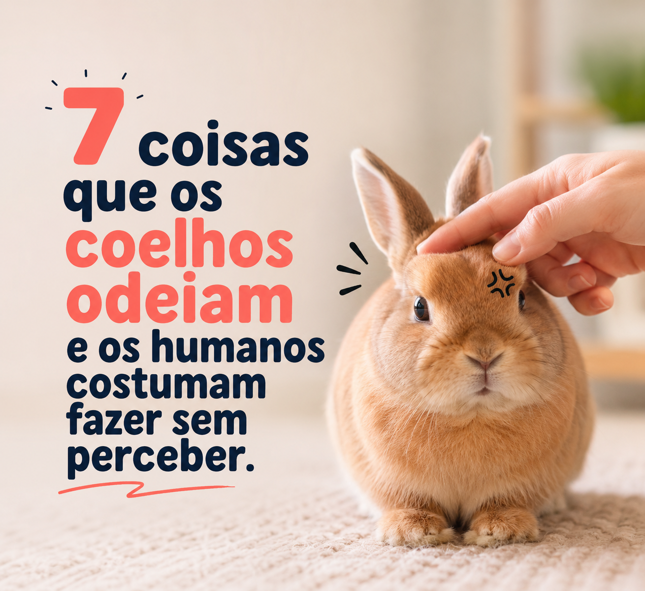 7 coisas que os coelhos odeiam e os humanos costumam fazer sem perceber