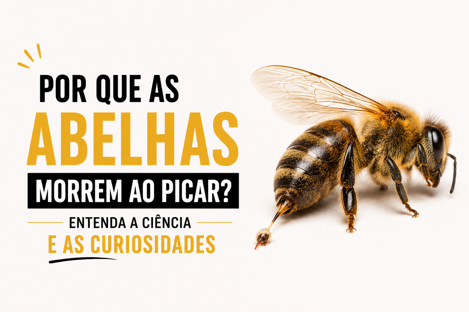 Por que as abelhas morrem ao picar? Entenda a ciência e as curiosidades desses insetos