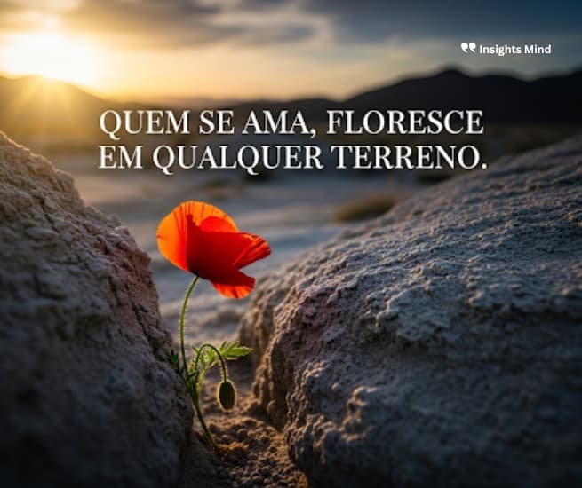 Amor Próprio 11