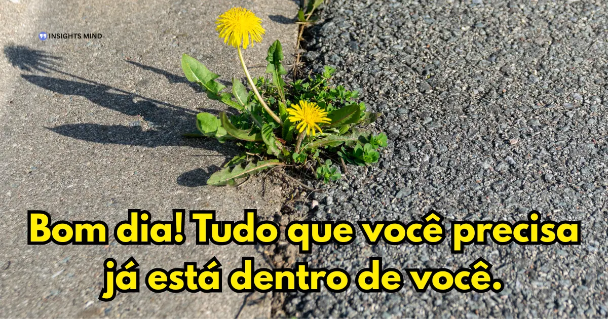 Mensagem de Bom Dia para WhatsApp — Frase 21