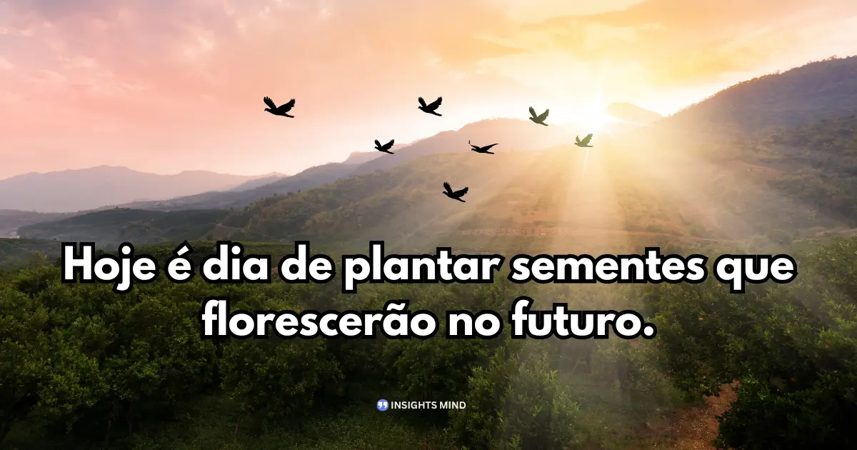 Mensagem de Bom Dia para WhatsApp — Frase 24