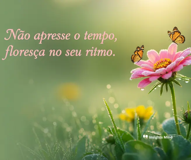 frases para o dia a dia