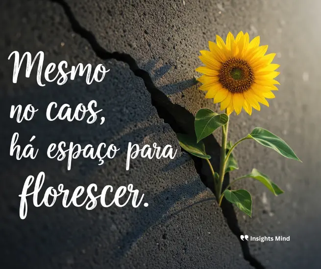 frases para o dia a dia